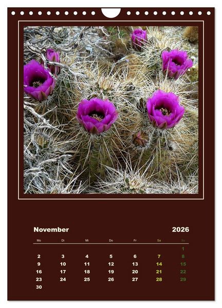 Produktbild: Wilde Kakteen Amerikas (Wandkalender 2026 DIN A4 hoch), CALVENDO Monatskalender
