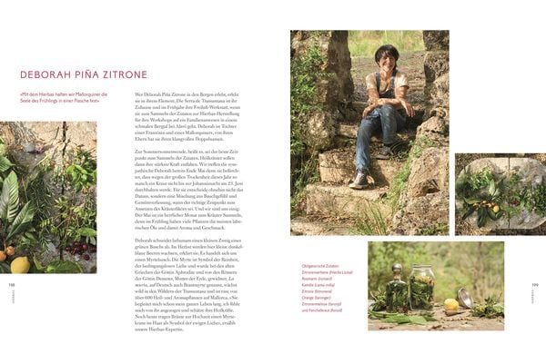 Produktbild: Mallorca &ndash; Das Kochbuch