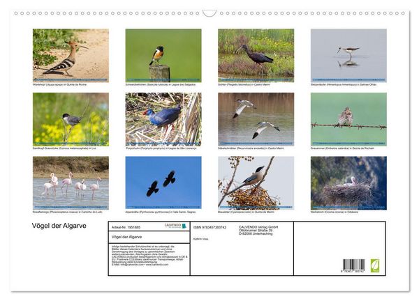 Produktbild: V&ouml;gel der Algarve (Wandkalender 2026 DIN A2 quer), CALVENDO Monatskalender