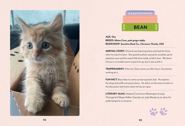 Produktbild: Bookshop Cats Hb