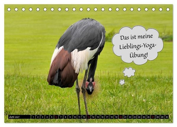 Produktbild: Wenn Tiere sprechen k&ouml;nnten! Der lustige Spr&uuml;che Kalender (Tischkalender 2027 DIN A5 quer), CALVENDO Monatskalender