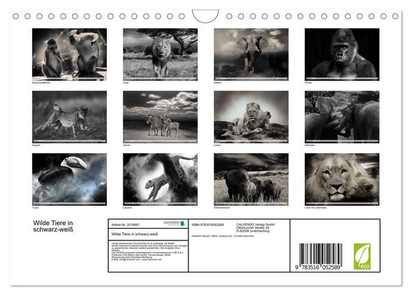 Produktbild: Wilde Tiere in schwarz-wei&szlig; (Wandkalender 2026 DIN A4 quer), CALVENDO Monatskalender