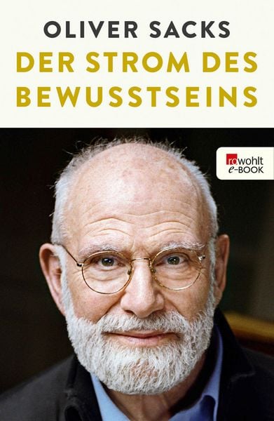 Produktbild: Der Strom des Bewusstseins