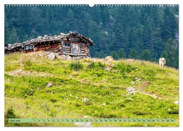 Produktbild: Auf Weidefl&auml;chen und Hochweiden (Wandkalender 2026 DIN A2 quer), CALVENDO Monatskalender