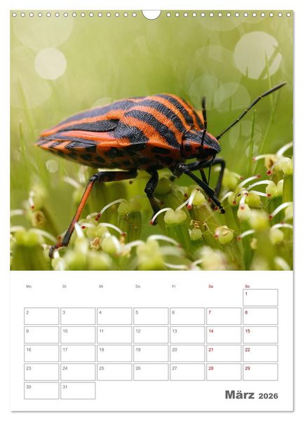 Produktbild: Helden in der Natur (Wandkalender 2026 DIN A3 hoch), CALVENDO Monatskalender