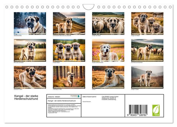 Produktbild: Kangal - der starke Herdenschutzhund (Wandkalender 2026 DIN A4 quer), CALVENDO Monatskalender