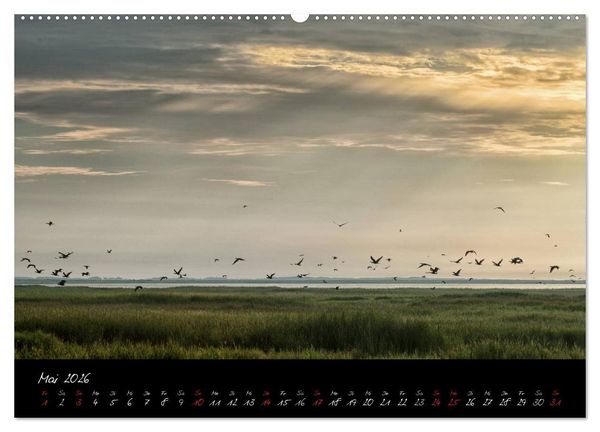 Produktbild: Sommer im Fischland-Dar&szlig;-Zingst (hochwertiger Premium Wandkalender 2026 DIN A2 quer), Kunstdruck in Hochglanz