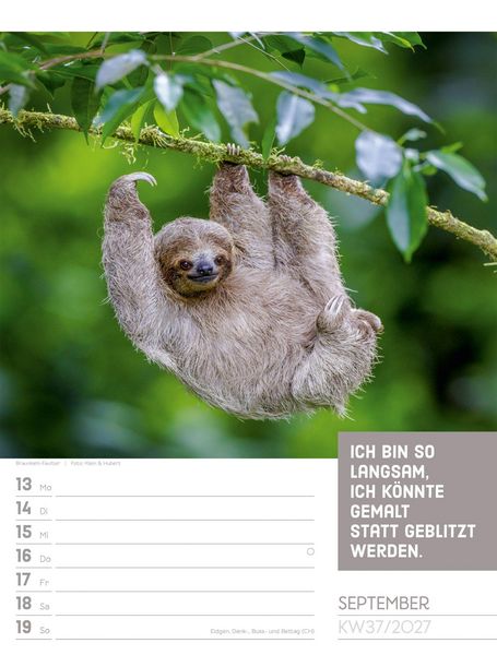 Produktbild: Tierisch Spr&uuml;chekalender Wochenplaner 2027