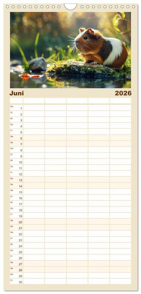 Produktbild: Familienplaner 2026 - Wuschelbande - Ein Jahr voller Meerschweinchen mit 5 Spalten (Wandkalender, 21 x 45 cm) CALVENDO