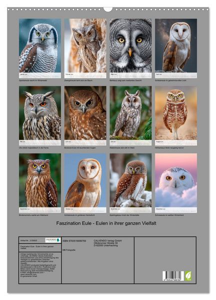 Produktbild: Faszination Eule - Eulen in ihrer ganzen Vielfalt (Wandkalender 2026 DIN A2 hoch), CALVENDO Monatskalender