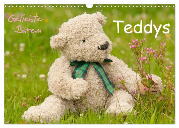 Produktbild: Geliebte B&auml;ren - Teddys (Wandkalender 2026 DIN A3 quer), CALVENDO Monatskalender