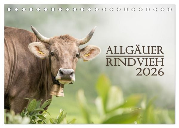 Produktbild: Allg&auml;uer Rindvieh 2026 (Tischkalender 2026 DIN A5 quer), CALVENDO Monatskalender