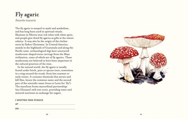 Produktbild: The Fungi Spotter's Guide