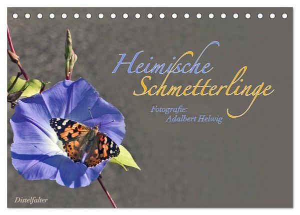 Produktbild: Heimische Schmetterlinge (Tischkalender 2026 DIN A5 quer), CALVENDO Monatskalender