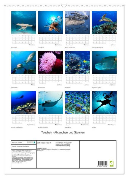 Produktbild: Tauchen - Abtauchen und Staunen (Wandkalender 2026 DIN A2 hoch), CALVENDO Monatskalender