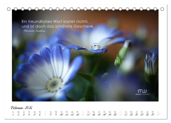 Produktbild: Gedanken... Bildkalender mit Spr&uuml;chen (Tischkalender 2026 DIN A5 quer), CALVENDO Monatskalender