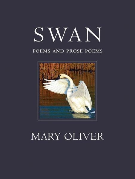 Produktbild: Swan