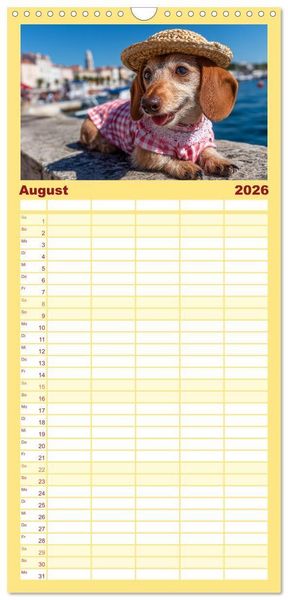 Produktbild: Familienplaner 2026 - Dackel auf gro&szlig;er Tour - S&uuml;&szlig;e Hunde entdecken die Welt mit 5 Spalten (Wandkalender, 21 x 45 cm) CALVENDO