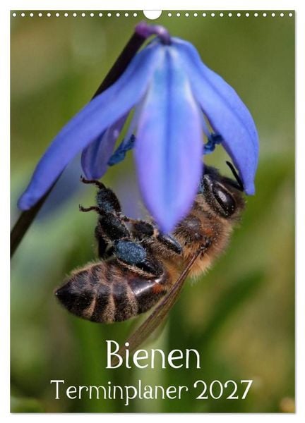 Produktbild: Bienen-Terminplaner 2027 (Wandkalender 2027 DIN A3 hoch), CALVENDO Monatskalender