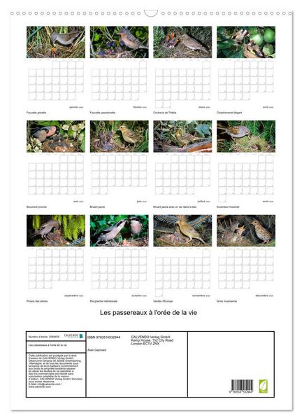 Produktbild: Les passereaux &agrave; l'or&eacute;e de la vie (Calendrier mural 2026 DIN A2 horizontal), CALVENDO calendrier mensuel
