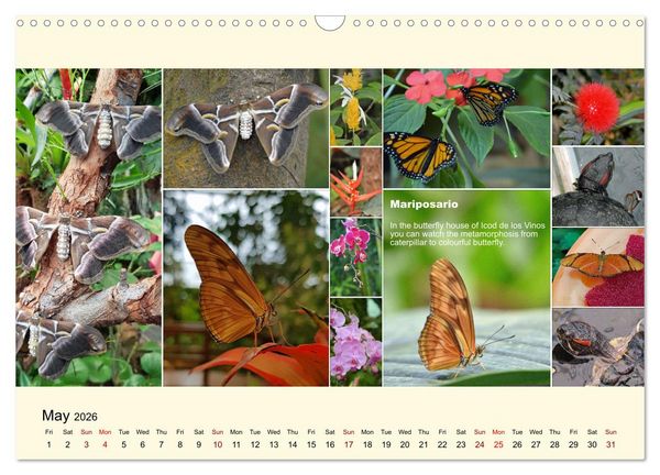 Produktbild: Enchanting Tenerife (Wall Calendar 2026 DIN A3 landscape), CALVENDO 12 Month Wall Calendar