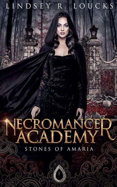 Produktbild: Necromancer Academy