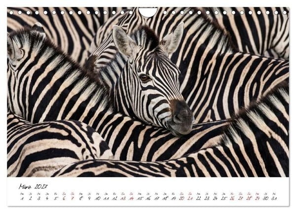 Produktbild: Better Together - Herdenmomente (Wandkalender 2027 DIN A4 quer), CALVENDO Monatskalender