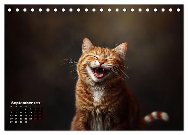 Produktbild: Auch Katzen lachen gern (Tischkalender 2027 DIN A5 quer), CALVENDO Monatskalender