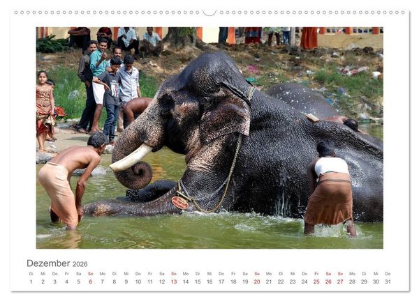 Produktbild: Farbenfrohes Kerala - Eindr&uuml;cke aus God&acute;s Own Country (Wandkalender 2026 DIN A2 quer), CALVENDO Monatskalender