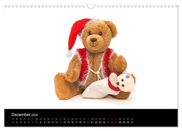 Produktbild: Martin B&auml;ren aus Sonneberg (Wandkalender 2026 DIN A3 quer), CALVENDO Monatskalender
