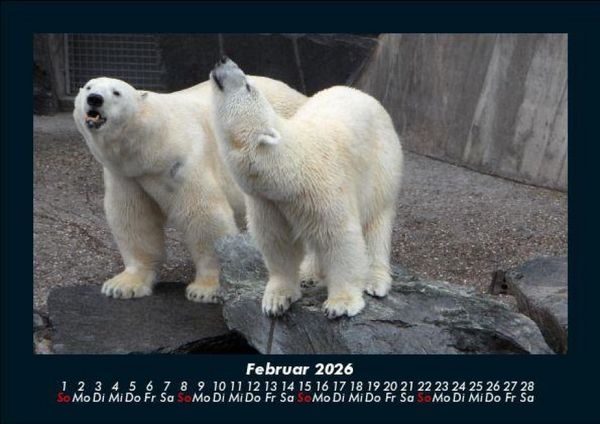 Produktbild: Tierkalender 2026 Fotokalender DIN A5