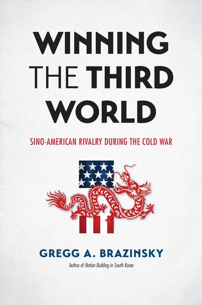 Produktbild: Winning the Third World