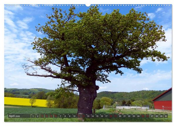 Produktbild: Flecken Aerzen (hochwertiger Premium Wandkalender 2026 DIN A2 quer), Kunstdruck in Hochglanz