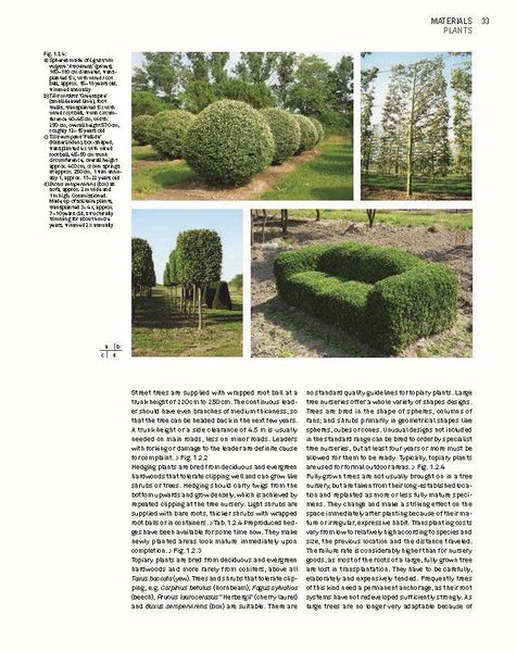 Produktbild: Constructing Landscape