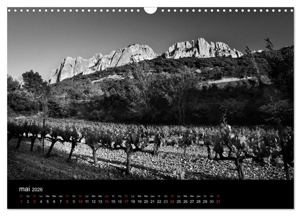 Produktbild: VIGNES DU SUD terroirs d'AOC (Calendrier mural 2026 DIN A3 vertical), CALVENDO calendrier mensuel
