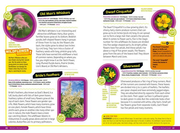 Produktbild: Ultimate Explorer Field Guide: Wildflowers