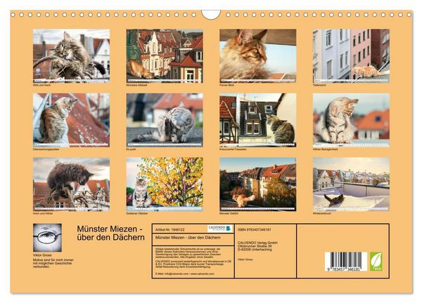 Produktbild: M&uuml;nster Miezen - &uuml;ber den D&auml;chern (Wandkalender 2026 DIN A3 quer), CALVENDO Monatskalender