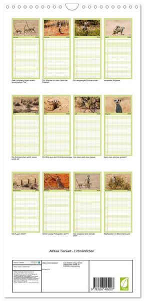 Produktbild: Familienplaner 2026 - Afrikas Tierwelt - Erdm&auml;nnchen mit 5 Spalten (Wandkalender, 21 x 45 cm) CALVENDO