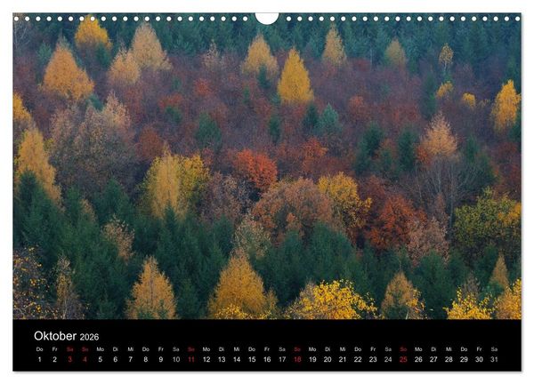 Produktbild: B&auml;ume (Wandkalender 2026 DIN A3 quer), CALVENDO Monatskalender