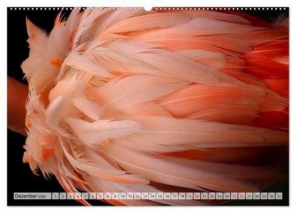 Produktbild: Flamingo Zauber (hochwertiger Premium Wandkalender 2026 DIN A2 quer), Kunstdruck in Hochglanz