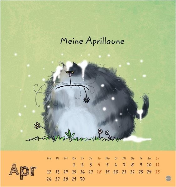 Produktbild: Catzz Postkartenkalender 2027