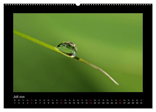 Produktbild: Meine kleine gr&uuml;ne Wassertropfen Welt (hochwertiger Premium Wandkalender 2026 DIN A2 quer), Kunstdruck in Hochglanz