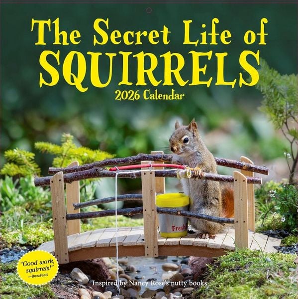 Produktbild: Secret Life of Squirrels Wall Calendar 2026