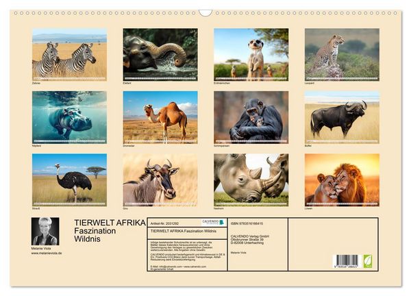 Produktbild: TIERWELT AFRIKA Faszination Wildnis (Wandkalender 2026 DIN A2 quer), CALVENDO Monatskalender