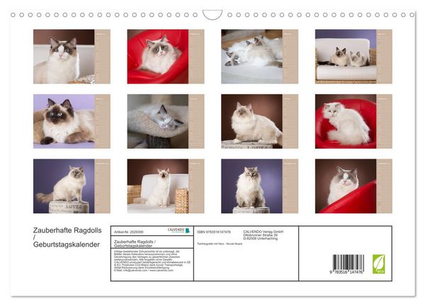 Produktbild: Zauberhafte Ragdolls / Geburtstagskalender (Wandkalender 2026 DIN A3 quer), CALVENDO Monatskalender