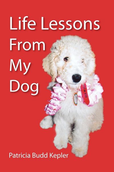 Produktbild: Life Lessons from My Dog