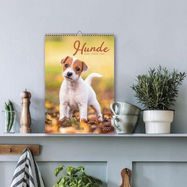 Produktbild: Hunde 2027