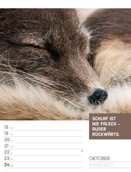 Produktbild: Tierisch Spr&uuml;chekalender Wochenplaner 2027