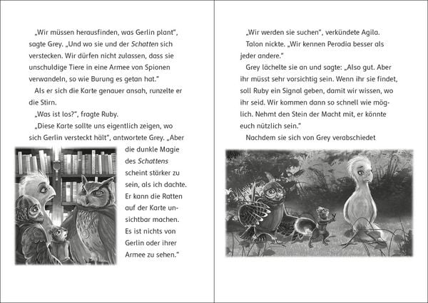 Produktbild: Der letzte Feuerfalke und die R&uuml;ckkehr des Schattens (Band 12)
