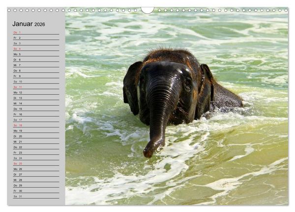 Produktbild: Elefanten. Spa&szlig; am Wasser (Wandkalender 2026 DIN A3 quer), CALVENDO Monatskalender